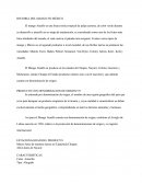 Exportacion Del Mango