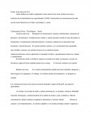 Actividad Caso de Maria. Anorexia nerviosa