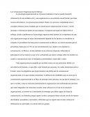 Psicologia Organizacional