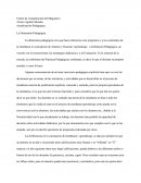 Sintesis De La Dimension Pedagogica