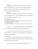 Derecho Como Ciencia