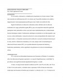 Infeccion Sistema Renal