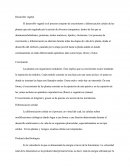 Biodiversidad Y Sociodiversidad