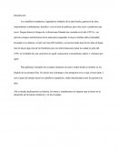 Las Cruzadas