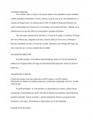 Optimizacion Comercial Centro Wellness Spa