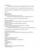 Apuntes Enfermeria