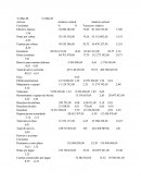 Perito Mercantil Y Contador Publico