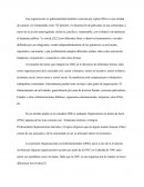 Una organización no gubernamental