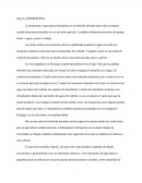 Introduccion A La Informatic