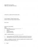 Nomenclaturas Internacionales de Mercancías