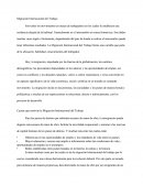 MIGRACION INTERNACIONAL DEL TRABAJO