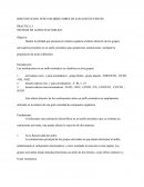 Practica 3 Sintesis de acido sulfanilico