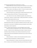 Trabajo En Alturas