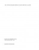 Transversalidad Formato