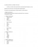 CLASIFICACION DE LAS FIBRAS TEXTILES