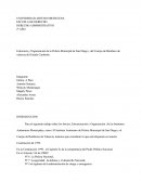 Estructura y Organización de la Policía Municipal de San Diego