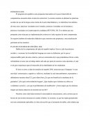 ENSAYO PLAN DE ESTUDIOS 2006