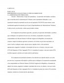 Decreto 20-06
