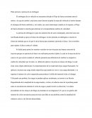 Ensayo De Fatiga
