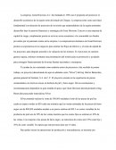 Silver: Una Evaluación De Inversión De Capital