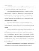 Amparo constitucional: Acción extraordinaria para la tutela de derechos fundamentales