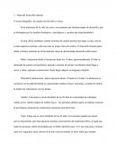 Unidad 1 Biología 7º Básico