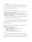 Las Principales Adicciones