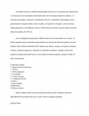 LAS PLANTAS HERVIVORAS