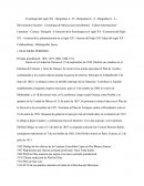 Presidenttes De Mexico