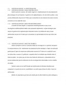 Justificacion De La Investigacion