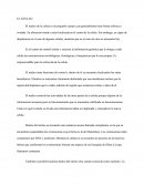 Núcleo Y Citoplasma