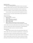 Desarrollo De Sistema