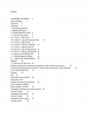 Auditoria Informatica