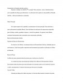 Manual Completo De Mark V10 En Españo