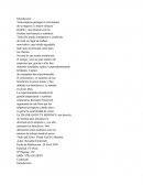 Importancia Del Trabajo