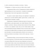 El Meta Una Belleza Ecologica