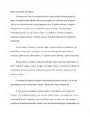 Plantas Medicinales Del Paraguay.