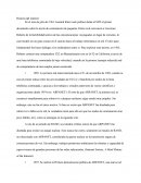 Historia Del Internet