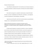 Desarrollo Humano