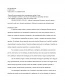 Ensayos De Estrategias De Los Docentes
