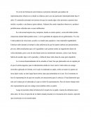 El Hombre De Las Ratas, Resumen