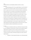 Hamburguesas De La Torre