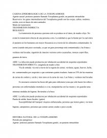 CADENA EPIDEMIOLOGICA DE LA TOXOPLASMOSIS. Página 1
