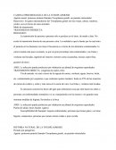 CADENA EPIDEMIOLOGICA DE LA TOXOPLASMOSIS