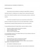 Responsabilidad E Informes En Perspectiva