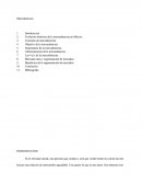 Ensayo De Mercadotecnia