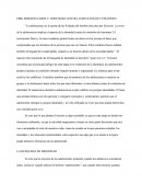 Desarrollo De La Personalidad En El Adolescente