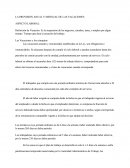 Provision Anual Y Mensual De Las Vacaciones