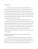 Informe De Humedales