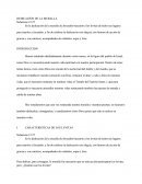 La Reconstrucción De La Muralla